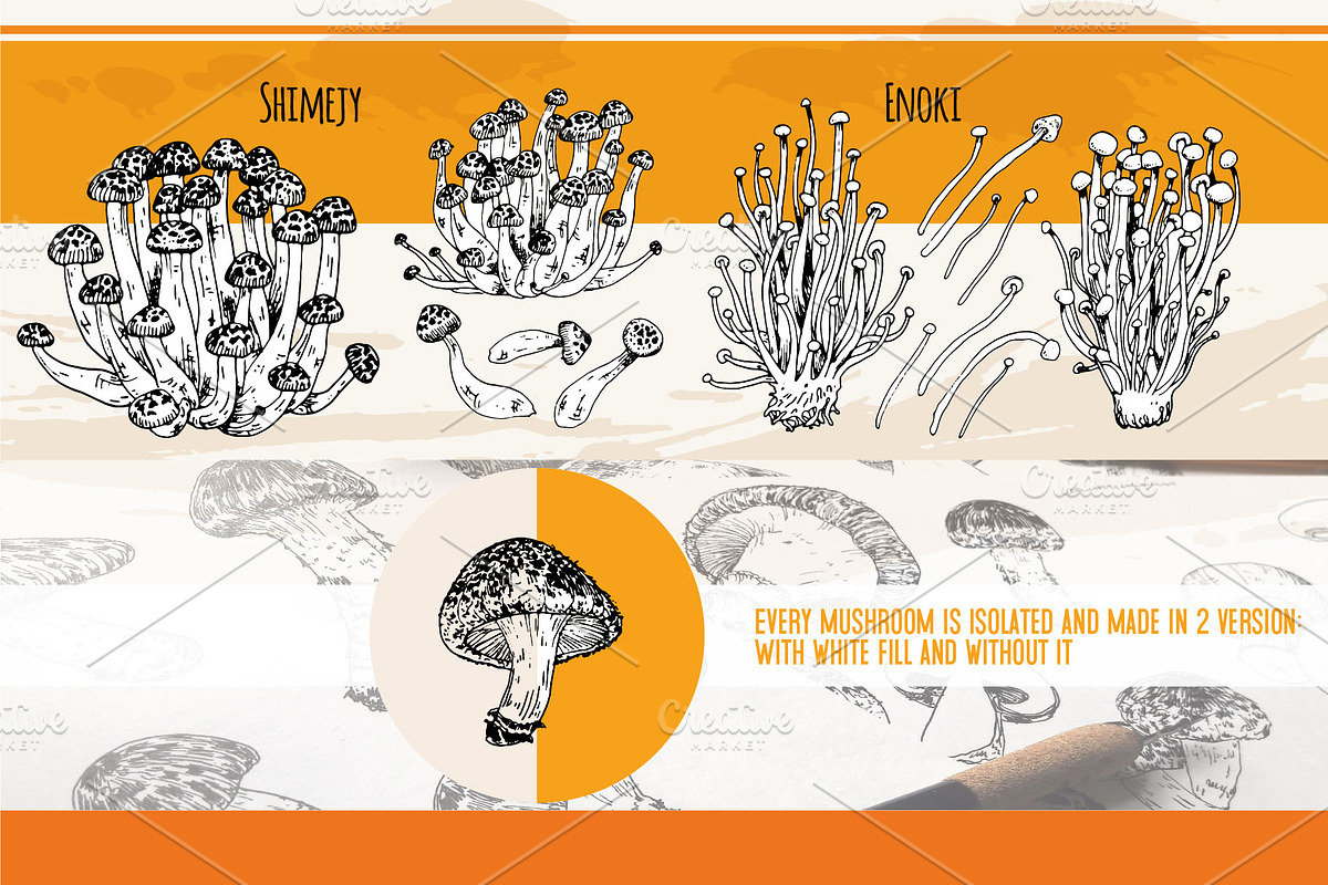 Mushrooms. Big set. 84 objects, a Decorative Illustration by Alena Kaz (Photo 3 of 8)