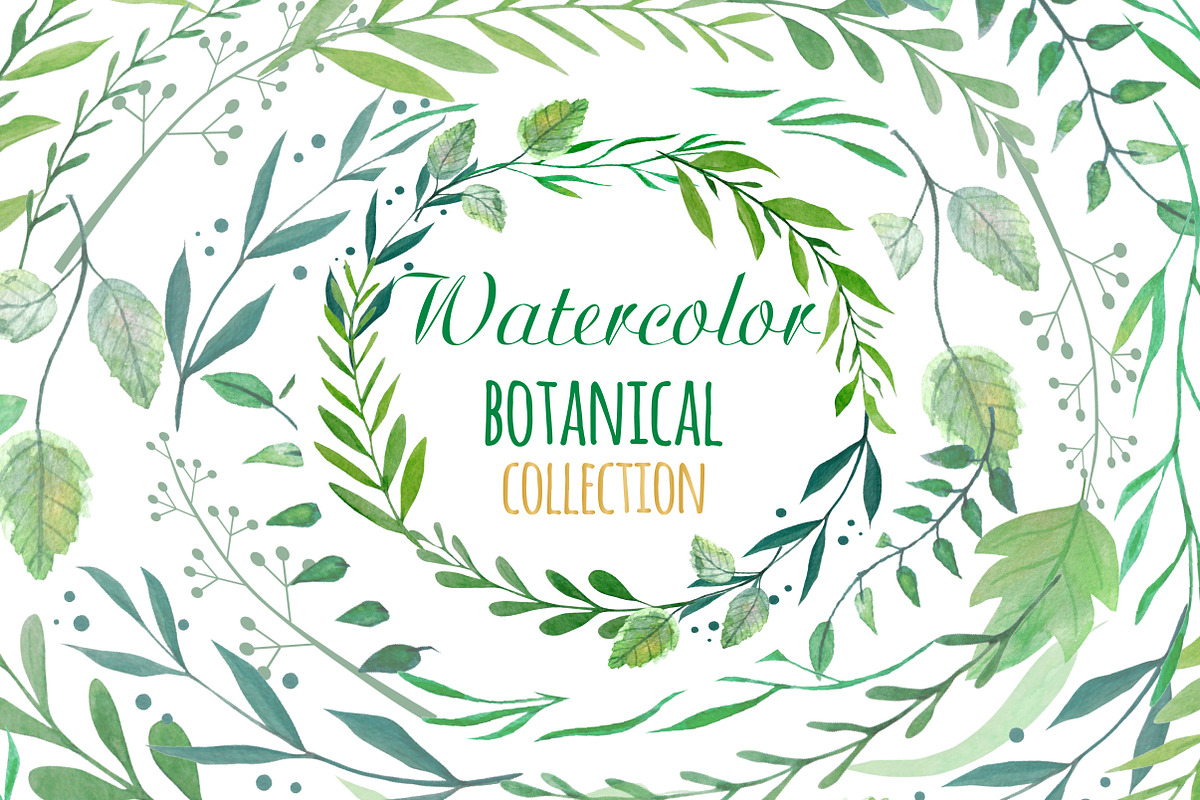 Watercolor Botanical Clipart, an Illustration by Annakristal (Photo 1 of 2)