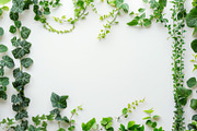 99 Frames of green leaves, a Nature Photo by Handmadefont (Thumbnail 39 of 100)