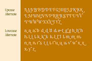 Regus Display - 90's Serif Family, a Serif Font by Holyline Design (Thumbnail 13 of 15)
