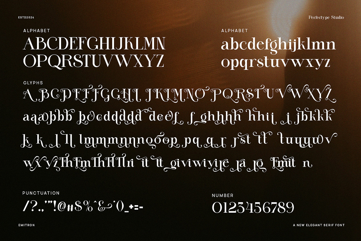 Emitron Elegant Serif Font, a Serif Font by Perfectype (Photo 8 of 8)
