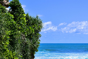 Beach's hill