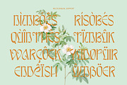 Awsirnam - Aesthetic Serif Font, a Serif Font by Enxyclo Studio (Thumbnail 27 of 29)