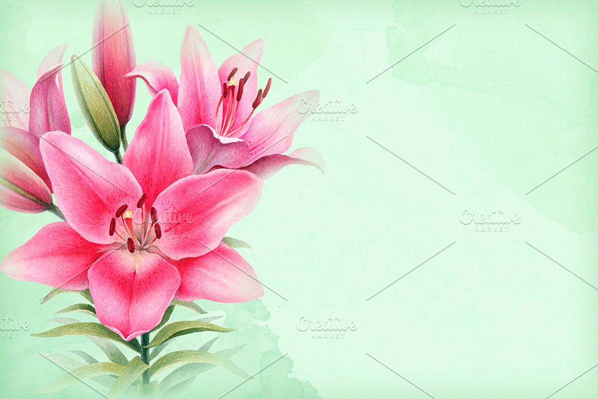 Illustrations of Lilies, a Texture Illustration by Sundra (Photo 9 of 10)