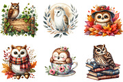 Watercolor Owl Clipart, an Illustration by DreamArtGraphic (Thumbnail 4 of 4)
