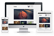 Svelte - Handcrafted Minimalism, a WordPress Template by ThemeCobra WordPress (Thumbnail 1 of 2)