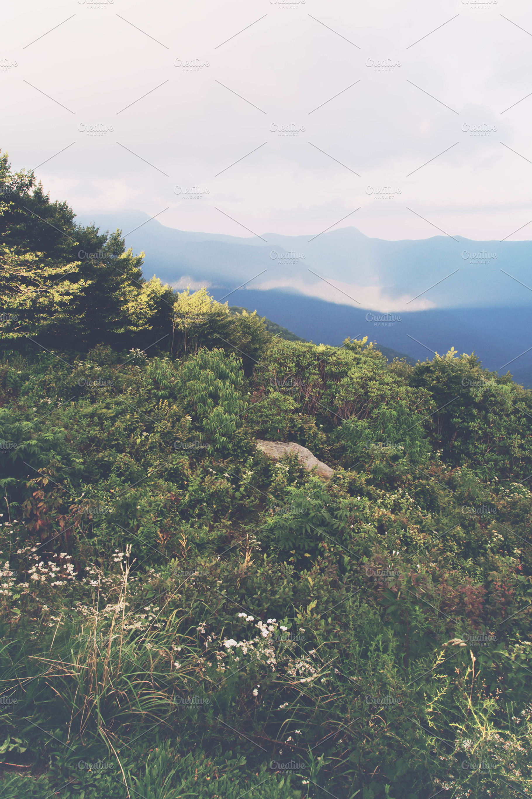 North Carolina Appalachian Mountains, a Nature Photo by Tamara Lance