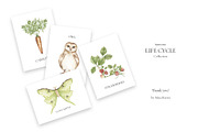 Watercolor Life Cycle Bundle 2, an Education Illustration by MayaNavits (Thumbnail 5 of 14)