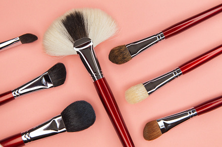 Set of brushes for applying containing makeup, set, and pink