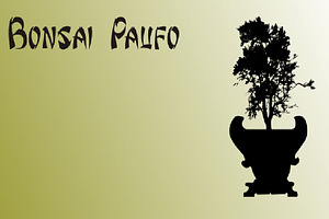 Bonsai Paufo