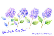 Watercolor Lilac Flowers Clipart, an Object Illustration by crafty (Thumbnail 3 of 5)