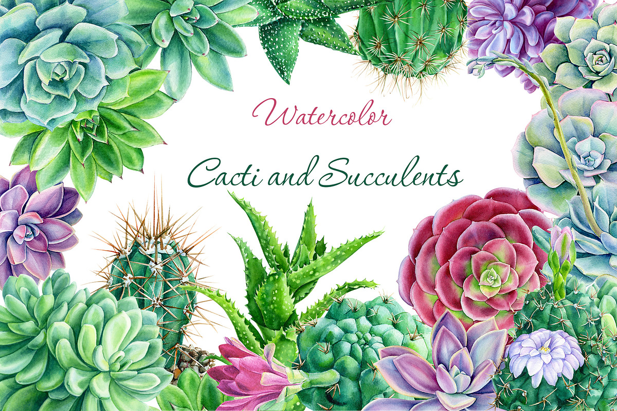 watercolor cacti and succulents, a Decorative Illustration by Hanna Hryharenka (Photo 1 of 9)