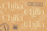 Chilia Vintage, a Serif Font by Craft Supply Co. (Thumbnail 6 of 8)