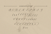 Soralize - A Modern Calligraphy Font, a Script Font by Almeera Std (Thumbnail 3 of 10)
