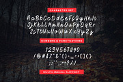 Dusky - Script, a Script Font by Hasbi Creative (Thumbnail 8 of 9)