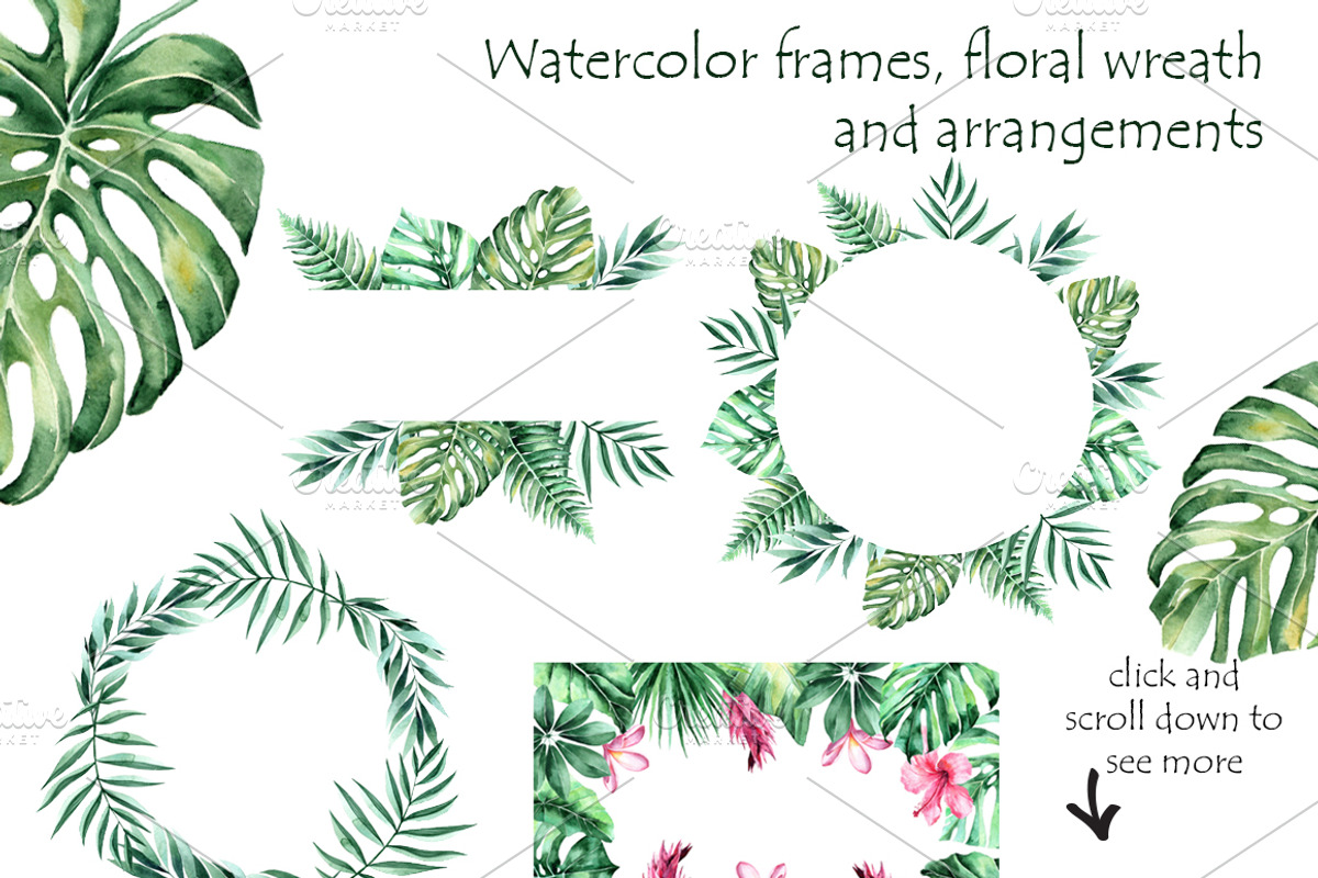 Tropical Watercolor set, a Decorative Illustration by Antikva17 (Photo 4 of 4)