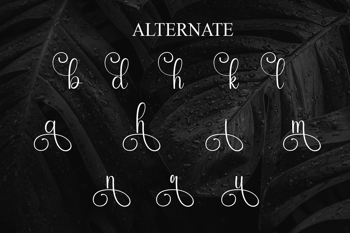 Black | Script Font, a Handwritten Font by Scratchones (Photo 8 of 9)