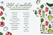 Vegetables vector sketch watercolor, a Food Illustration by irina.vaneeva (Thumbnail 3 of 18)