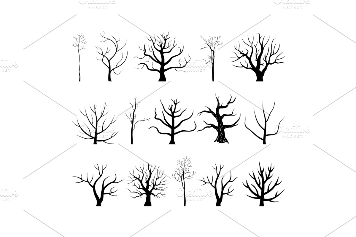 Tree branch4, an Illustration by Vector