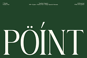 Roilega - Luxury Brand Family Font, a Serif Font by Pandeka Studio (Thumbnail 11 of 11)