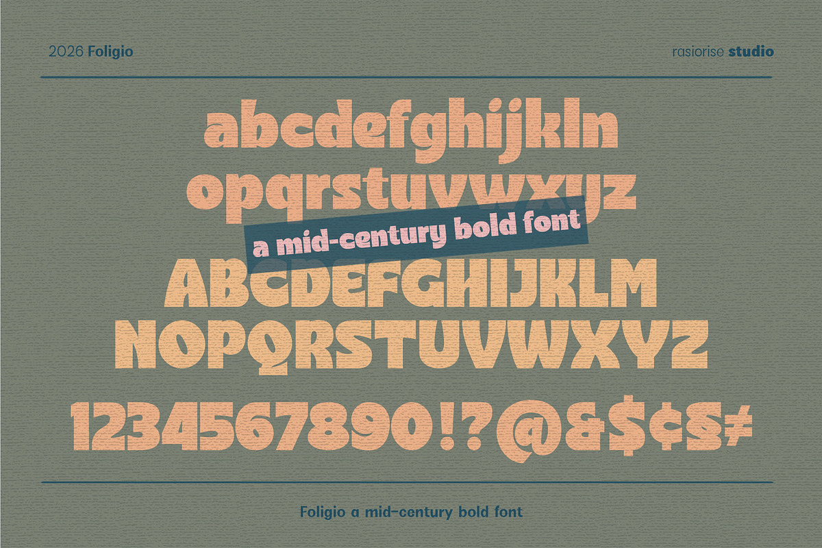 Foligio Font, a Sans Serif Font by Rasiorise Studio (Photo 6 of 13)