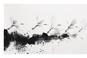 Gret Collection · Egrets in Flight, an Animal Illustration by milatovar (Thumbnail 8 of 17)