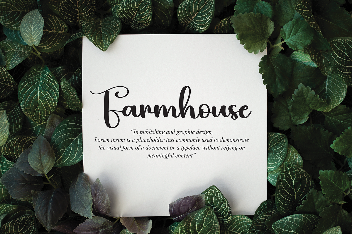 Hibis | Script Font, a Script Font by Scratchones (Photo 7 of 8)