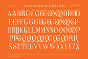 Lettertype a Editorial 90s Serif, a Serif Font by Lettertype Studio (Thumbnail 9 of 18)