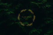 100 Hand Drawn Wreaths and Frames 2, a Work Illustration by NatalieArtShop (Thumbnail 15 of 16)