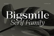 Bigsmile Serif Family, a Serif Font by Violet Natural (Thumbnail 1 of 13)