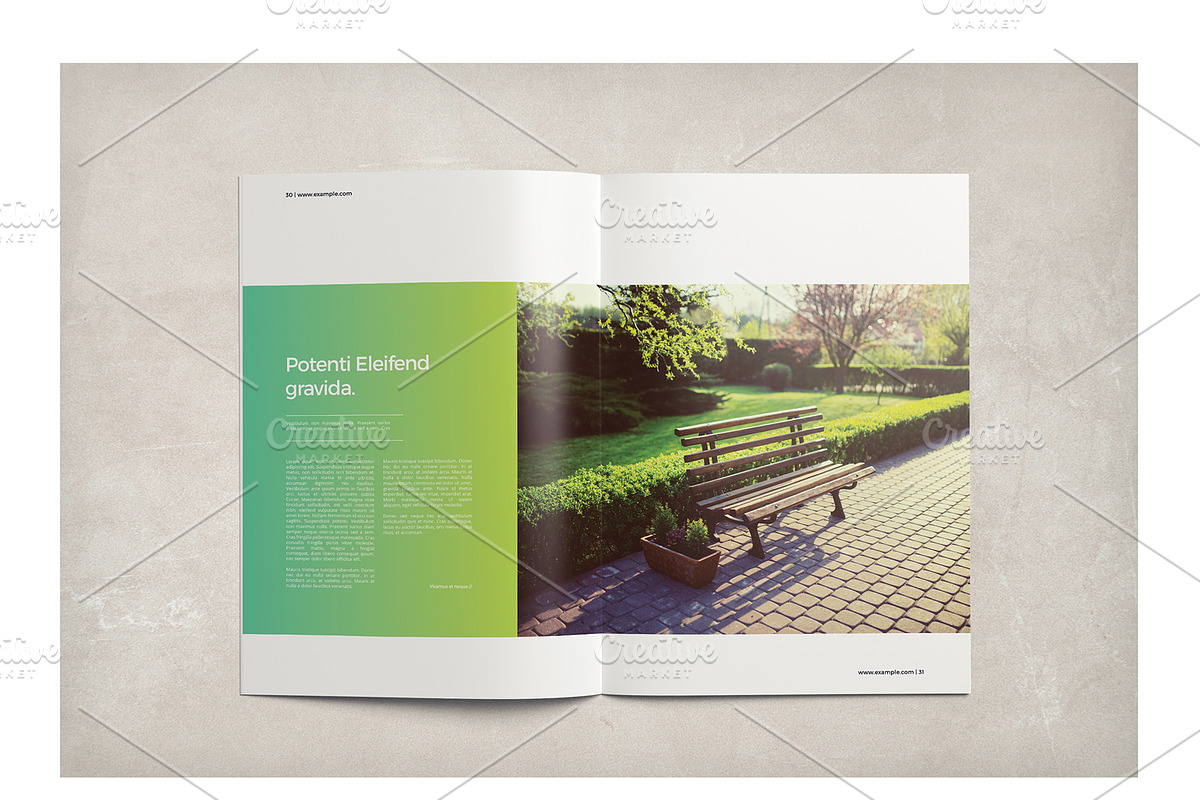 Multipurpose Business Brochure, a Brochure Template by ShapShapy (Photo 20 of 20)