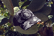 Yupoong 6089M Snapback Summer Mockup, a Hat Mockup by creatsy5 (Thumbnail 6 of 9)