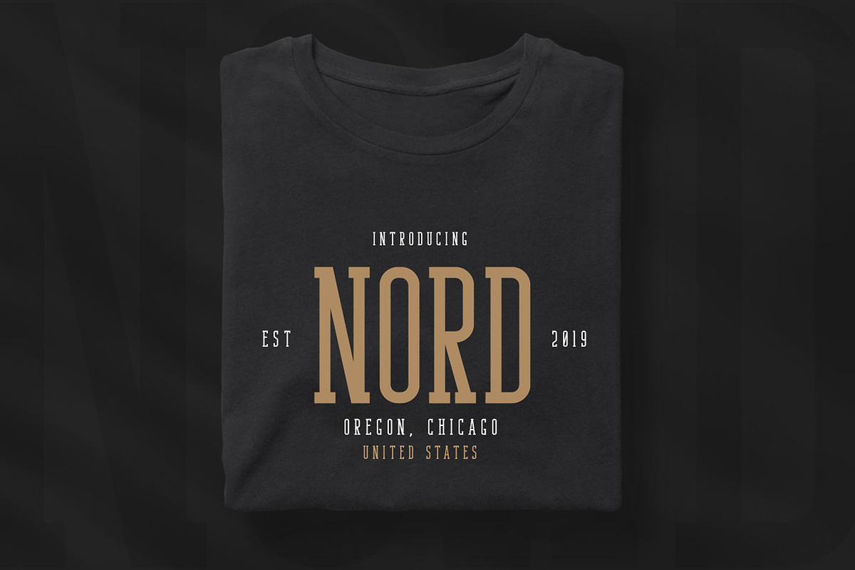 Bondie - Condensed Slab Serif Font preview 6