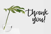 Stayrlight Modern Script Font, a Script Font by Guna Studio (Thumbnail 10 of 10)