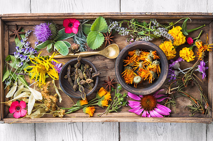 Motley healthy herbs containing tea, herb, and healthy, a Nature Photo by MLunov MLunov