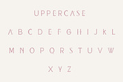 Daisy - Modern handwritten serif, a Serif Font by Sk designs (Thumbnail 7 of 8)