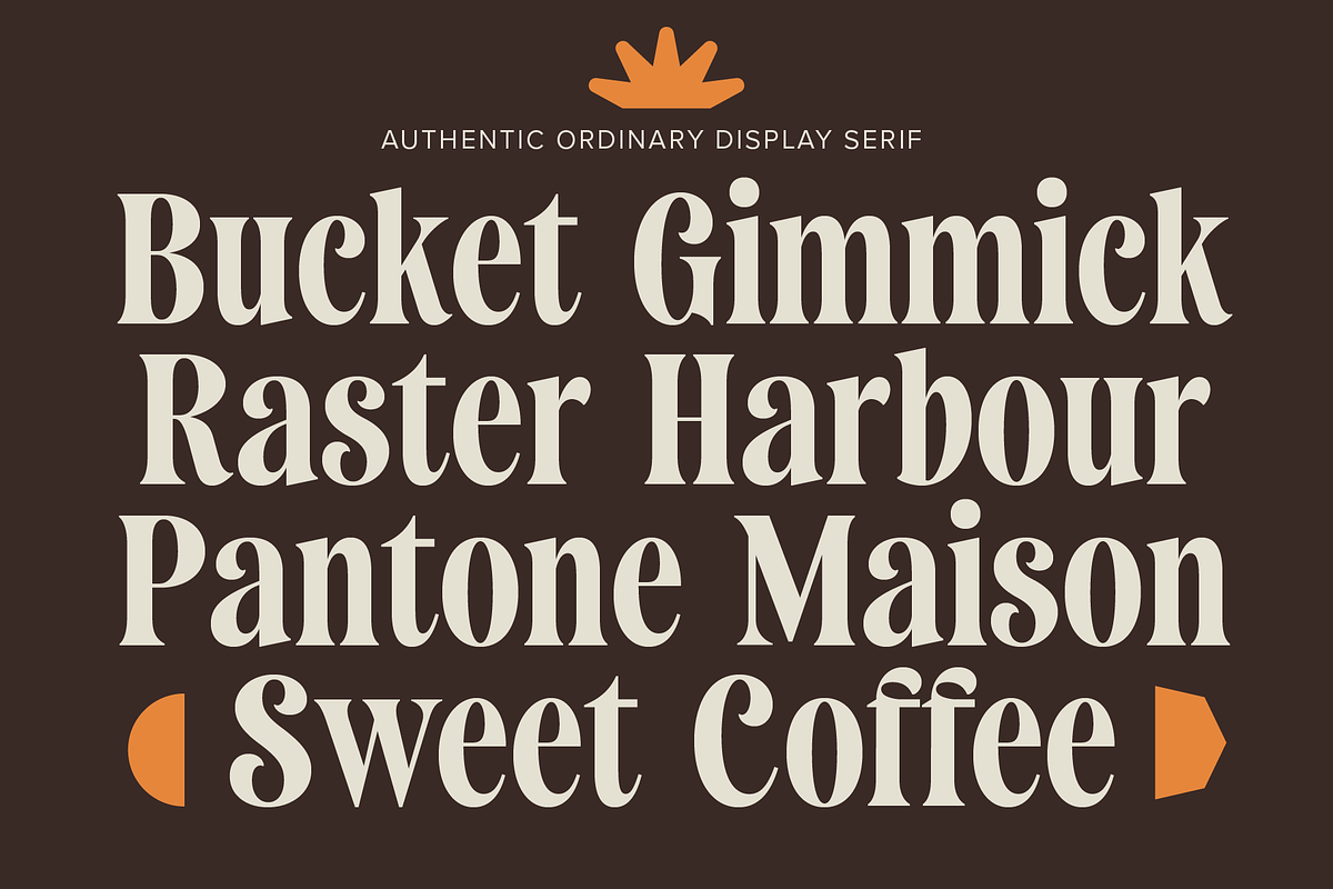 Saneco | Display Serif, a Serif Font by Jolicia Type (Photo 2 of 12)