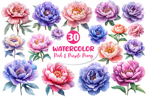 Pink & Purple Peony Flowers Clipart, an Illustration by Dream Creation