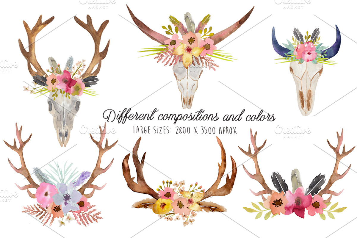 Wild Collection - Skulls and Antlers, a Decorative Illustration by MaraquelaStudio (Photo 5 of 10)