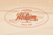 The Anthelope - Retro Script Font, a Script Font by StringLabs (Thumbnail 9 of 14)