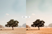 Moody Earth Tones Lightroom Presets, a Preset Add-On by PixaSquare (Thumbnail 6 of 10)