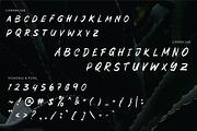 Sheets Cheats - Handwritten Brush, a Handwritten Font by tebaltipislab (Thumbnail 6 of 10)