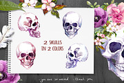 Skulls&flowers. Watercolor, an Illustration by Where summer is (Thumbnail 2 of 10)