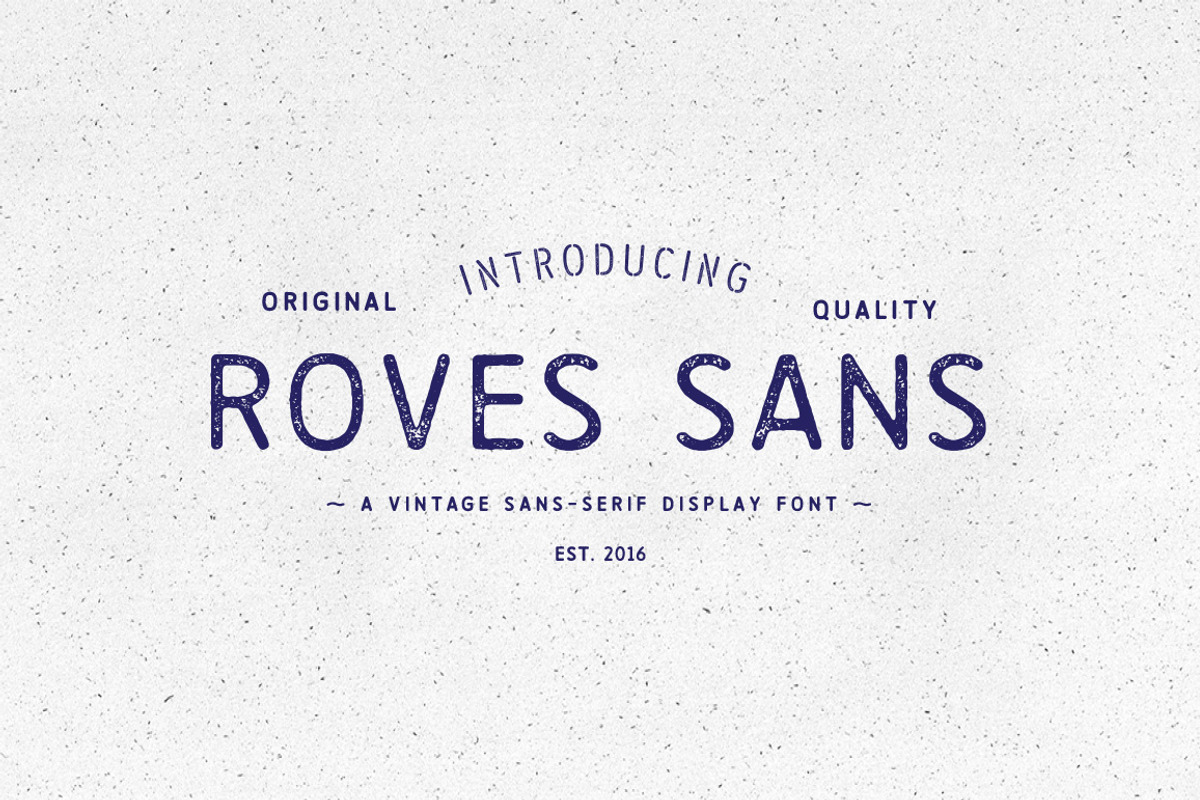 Roves Sans, a Sans Serif Font by Arkitype (Photo 1 of 5)