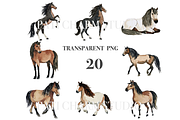 20 Horse Clipart, an Animal Illustration by Pati Charm Studio (Thumbnail 3 of 8)