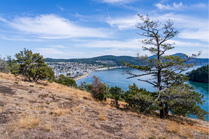 View from the Washington Park, a Nature Photo by Backyard Stock
