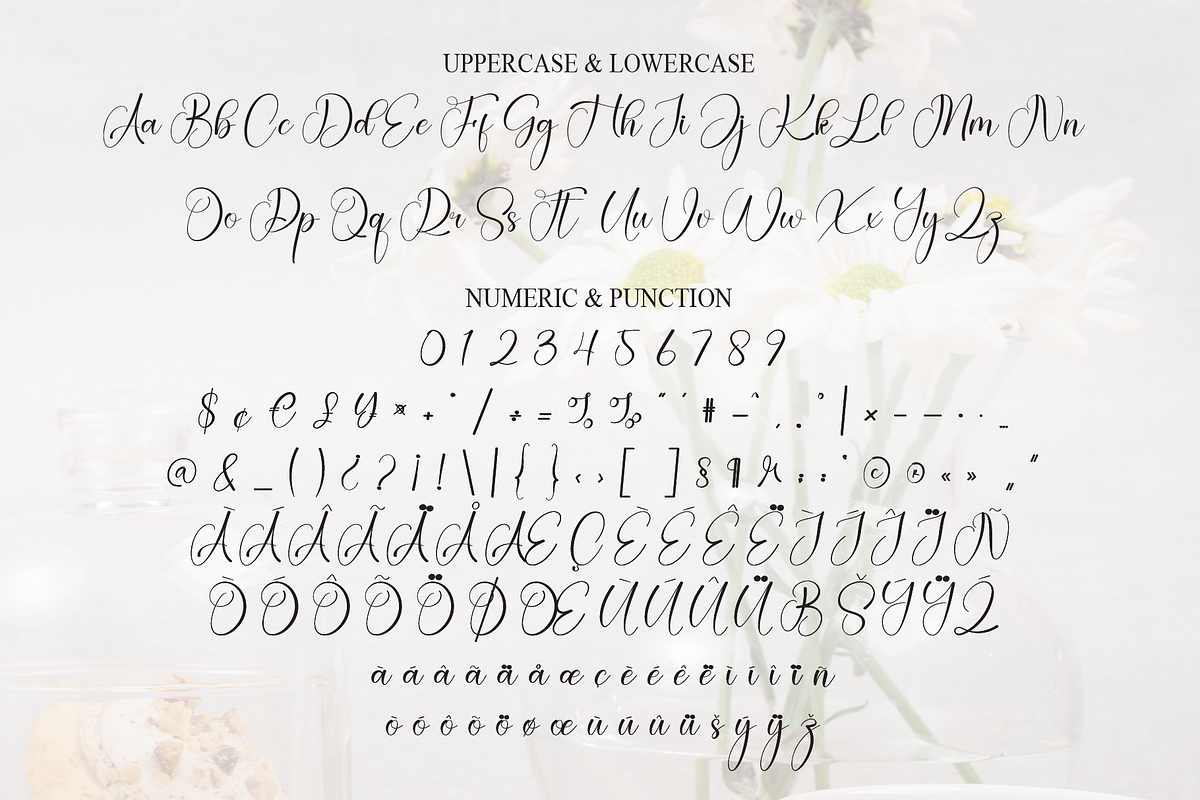 Astrid | Script Font, a Handwritten Font by Scratchones (Photo 7 of 9)