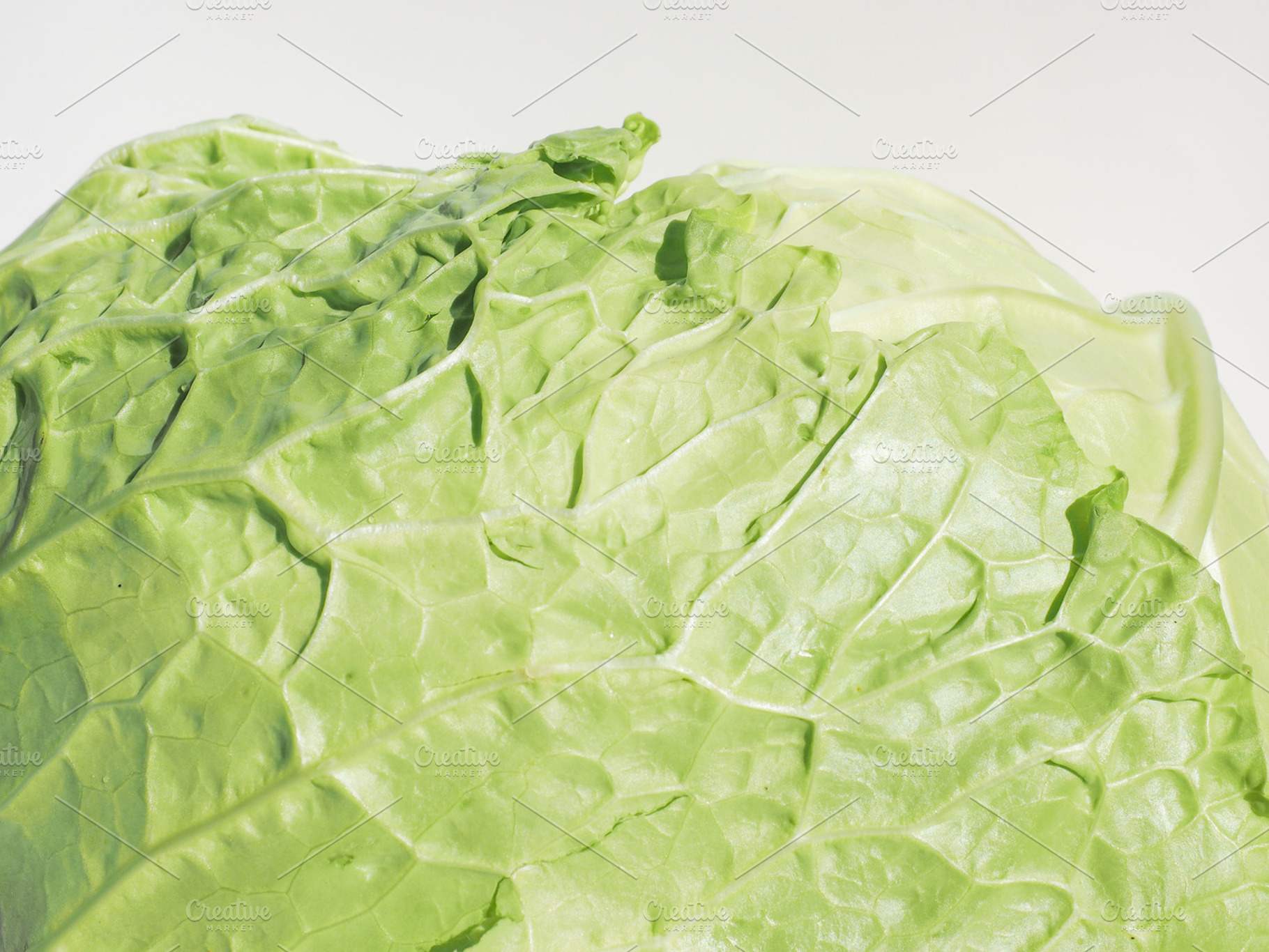 Cabbage containing cabbage, vegetables, and vegetable, a Food & Drink Photo by WorldPhotos