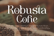 Wisteriano - Modern Serif Font, a Serif Font by Flawless And Co (Thumbnail 3 of 10)