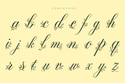 Alverose - Secret Garden Script, a Script Font by HypeWorksCo (Thumbnail 16 of 17)
